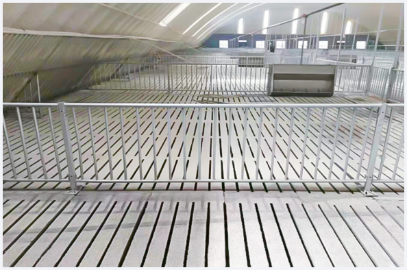 歐式產(chǎn)床_歐式保育欄_不銹鋼料槽_養(yǎng)羊設備_養(yǎng)牛設備_河南優(yōu)牧養(yǎng)殖設備有限公司